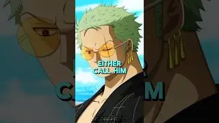 What If the Straw Hats Named Sanji's Raid Suit? #onepiece