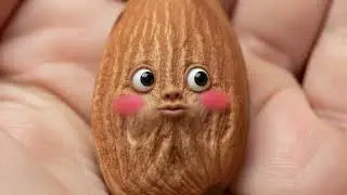 Cute Almond Nibbles for Healthy Eyes!