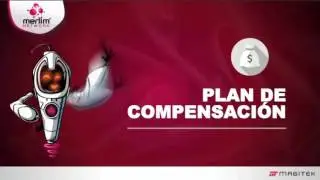 merlim network trabajo en equipo
