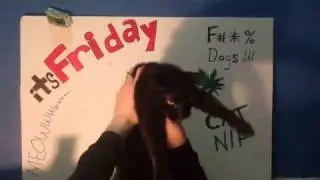 CAT7thst Song Remake
