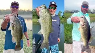 Paloma Lake offers secluded F-1 Hybrid Trophy Bass Fishing in Louisiana  minutes from New Orleans