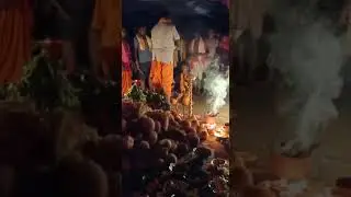 Baham Famous Bail Jatra 2019 | Baham Bael Jatra 2019 |