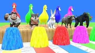 Long Slide Game With Cow Elephant Gorilla Hippopotamus Tiger - 3d Animal Game - Funny 3d Animals