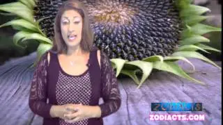 Libra September 2014 Monthly Love Horoscope by Nadiya Shah