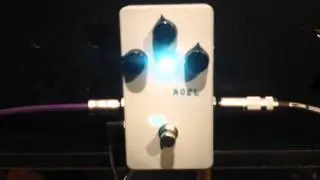 Noel Cornet for Bass