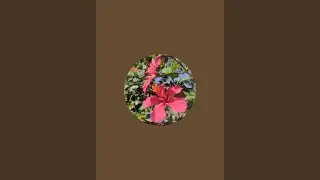 Garden artist Tarun