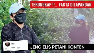 Terungkap fakta..!! Cara menanam cabe metode Elis_el14 petani konten tiktok