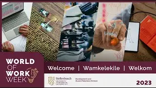 Development and Alumni Relations Division: Introduction to the World of Work in South Africa (2023)
