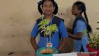 Sadhana Divas & &ldquo;NAVONMESH&rdquo; SCIENCE, MATHS, ARTS AND CRAFT EXHIBITION 2025-26