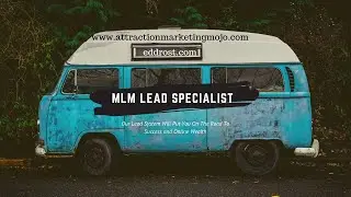 MLM Lead Specialist
