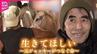 【命】競走馬たちに豊かな余生を  元ジョッキーが守る馬たちの命　新潟　NNNセレクション