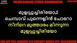 Chembavu punnellin choru karaoke with lyrics malayalam