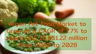 Vegan Pet Food Market is expected to reach US$ 15,651.22 million by 2028