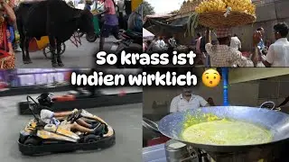 Reise-Vlog || Indien entdecken: Street Food, TukTuk & echtes Indien-Feeling