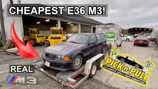 We bought a WRECKED E36 M3 from Pick-n-Pull!