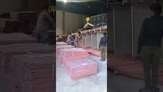 Cathode copper harvesting and bundle packaging. #Copper #Cathode #Production #Copper_extraction