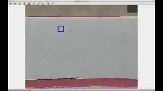 distortion correction from straight lines