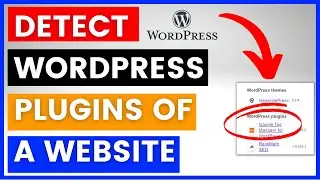How To Find Out What WordPress Plugins A Website Are Using? [in 2025]