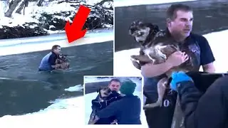 Dramatic moment brave man jumps into frigid Vermont river to rescue dog