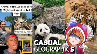 Animal Secrets Zoos Don&rsquo;t Want You To Know| ADHD Vtuber Casual Geographic Reaction
