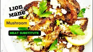 The Baked lion mane is a food meat substitute #chicken #healthylifestyle #mushroomrecipes #3yevolve