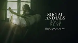 Social Animals - Back Seat (Visualizer)