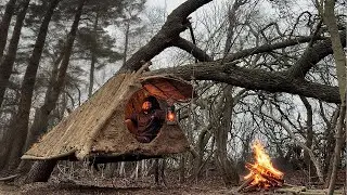 🔥 Building a Secret Shelter Survival Bunker &ndash; Jungle Survival Skills in Action
