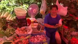 Shoup's China  - Exploring the local market