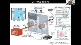 Raman Flow Cytometry - Fermentation Webinar