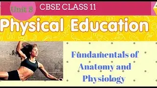 Fundamentals of anatomy and physiology class 11