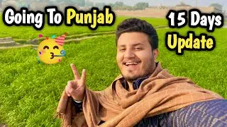 I Am Going To Punjab | Fifteen Days Update 🤔#viralvideo #trending #foryou @shehrmaindihat 