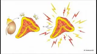 Human Chemical Control and Coordination | Endocrine System | NEET | Class XI NCERT Biology