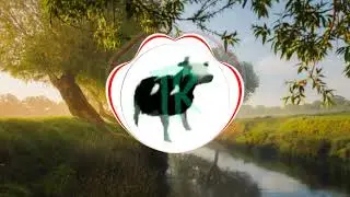Cypis - Gdzie jest biały węgorz ? (polish cow) (Trap Remix)