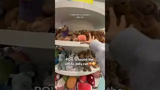 ПОКУПАЮ СВОГО ПЕРВОГО ЖЕЛЕЙНОГО КОТА😳🍑