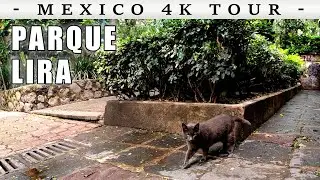 Parque Lira 🇲🇽 Ciudad de M&eacute;xico [4K Walking Tour]