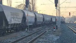 Trans Cargo 2399 - ASEA 1 141 321 HŽ CARGO izlazi iz Zagreb Zap.Teretnog.HR 
