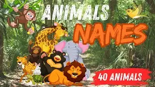 40 Animals Names For Toddlers | Learn English for Kids! | Learn Fun