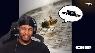 FIREEEEE!! | CHIP - PEST CONTROL Reaction
