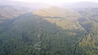 A Black Mountain Flight