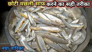 छोटी मछली बनाने का सही तरीका |&reg;choti machhali banane ka tarika | small fish curry recipe |  fish fry