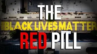 The unspoken TRUTH about BLM: Fallacy of Perfection