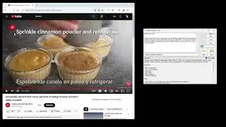 Ollama Copilot (YouTube Transcripts) v1.0.1