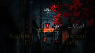 or jo Maal tumhary biwiaan chordh marey #quran #islamicvideo #quranrecitation #shorts