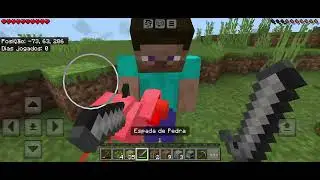 Minecraft a saga chaos epis&oacute;dio 1 