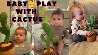 Baby 👶play with 🌵cactus 🌵 | mama papa 🥰 | baby video 👶 | mama mama | baby mama papa | MORE FUNEE