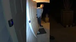 One Cat Pressed the Doorbell&hellip; Then This Happened 😹📹