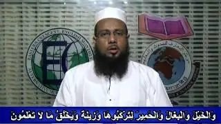 Animals' Rights and Islamic Teachings (Part - 1)