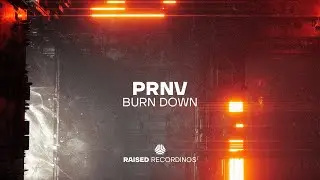 PRNV - Burn Down
