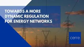 Towards a more dynamic regulation for Energy networks
