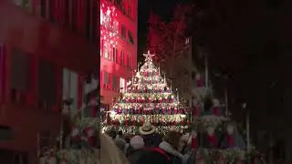 The Singing Christmas Tree Zurich